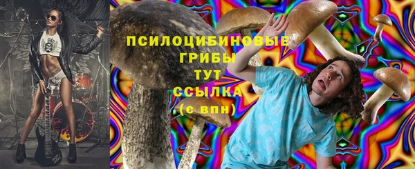 соль ск Арсеньев