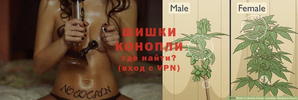 прущие грибы Армянск