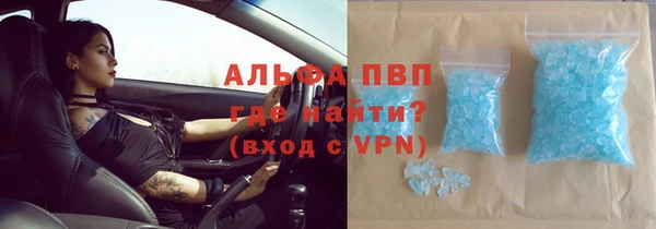 прущие грибы Армянск