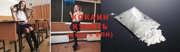 прущие грибы Армянск
