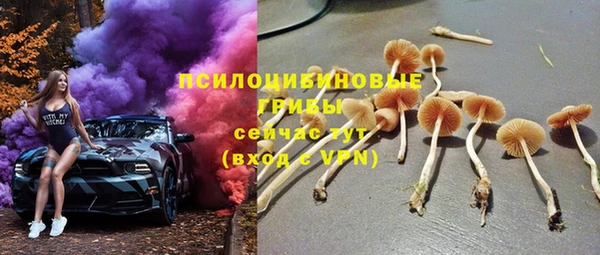 соль ск Арсеньев