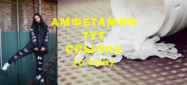 прущие грибы Армянск